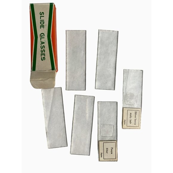 Focal Precision Made Microscope Set With Slides & Accessories Vintage - Picture 6 of 13